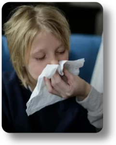 Professional Rug Sanitization